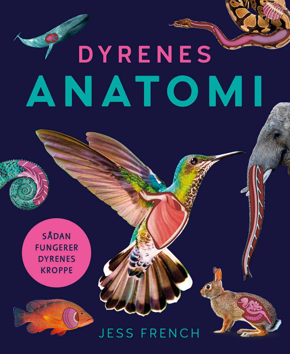 DYRENES ANATOMI