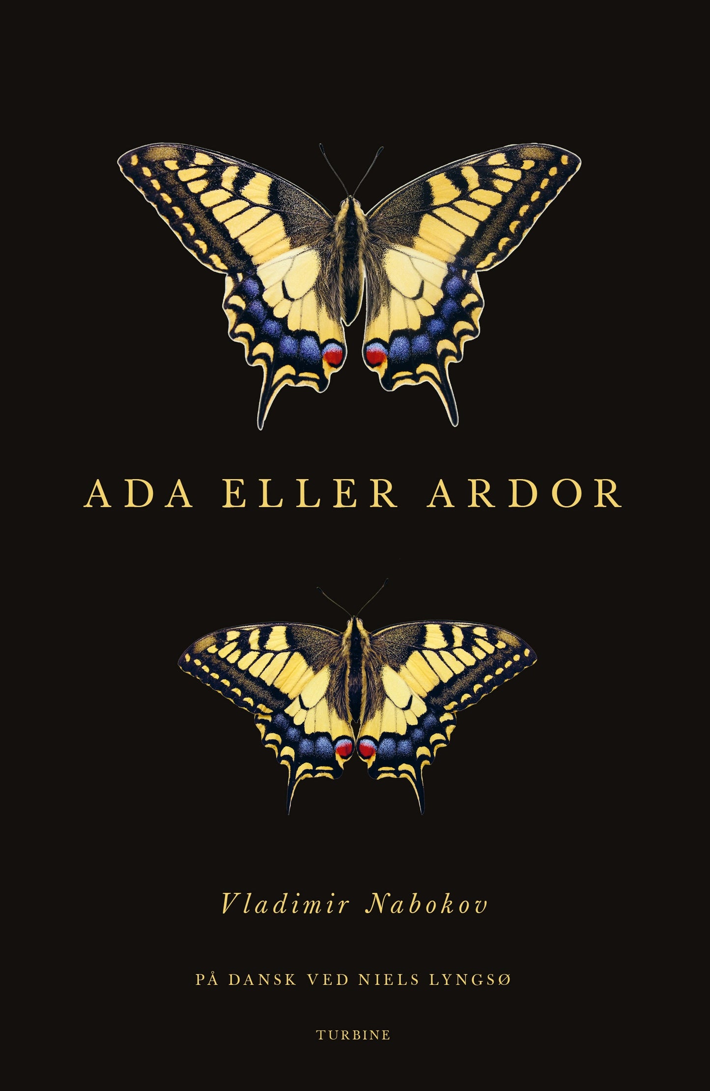 ADA ELLER ARDOR