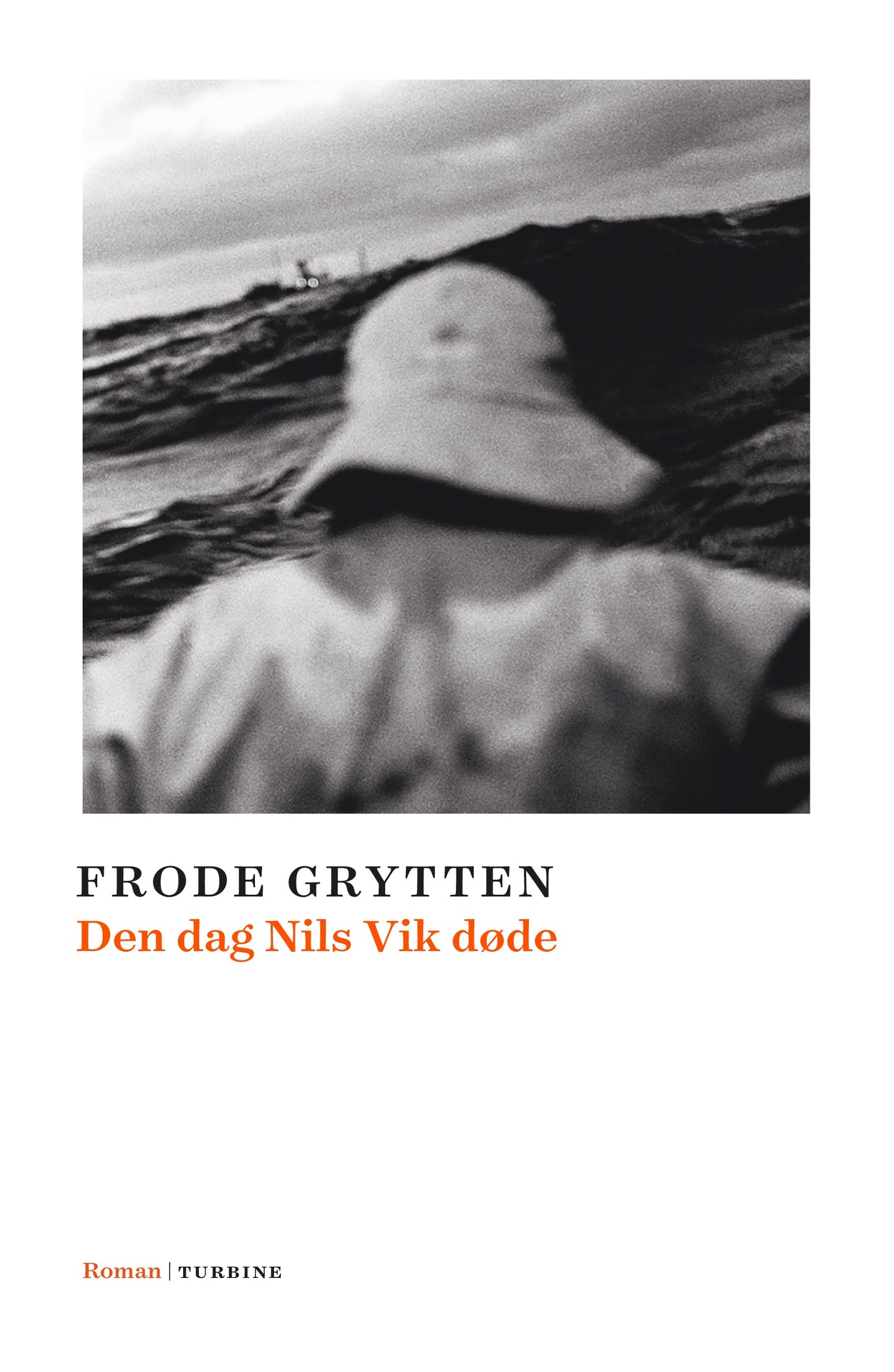DEN DAG NILS VIK DØDE