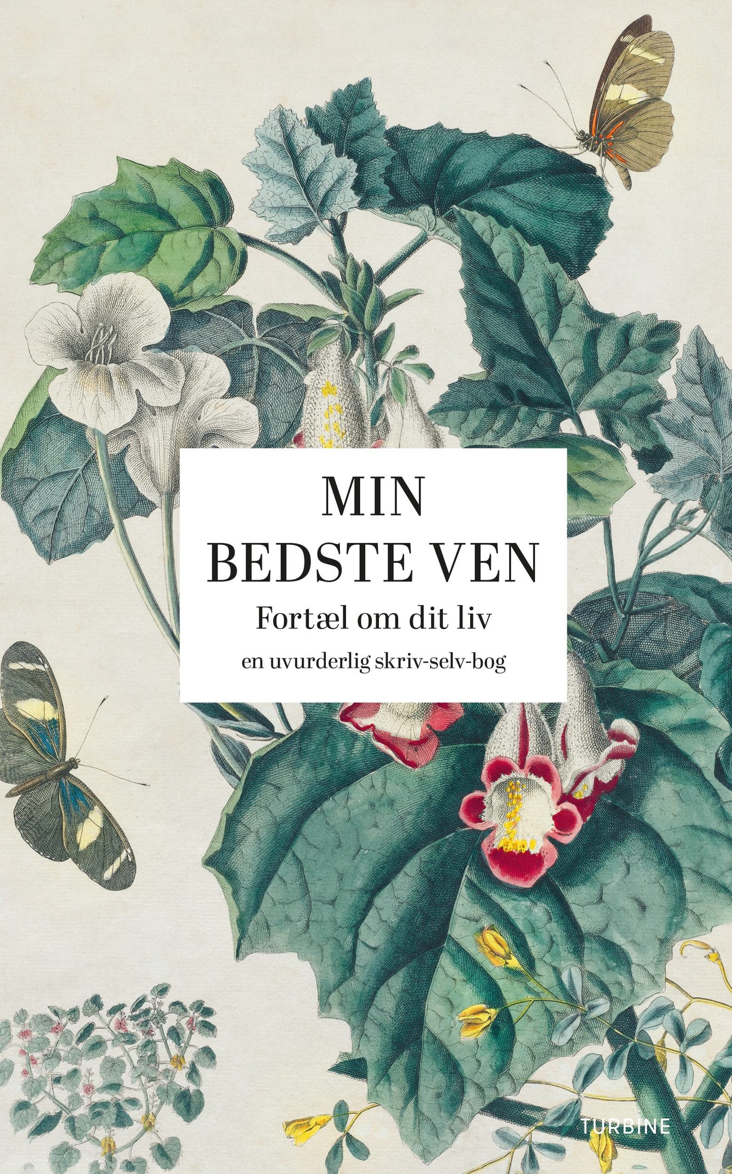 MIN BEDSTE VEN, FORTÆL OM DIT LIV