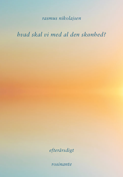 HVAD SKAL VI MED AL DEN SKØNHED?