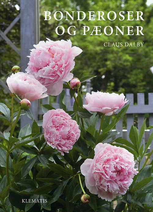 BONDEROSER OG PÆONER
