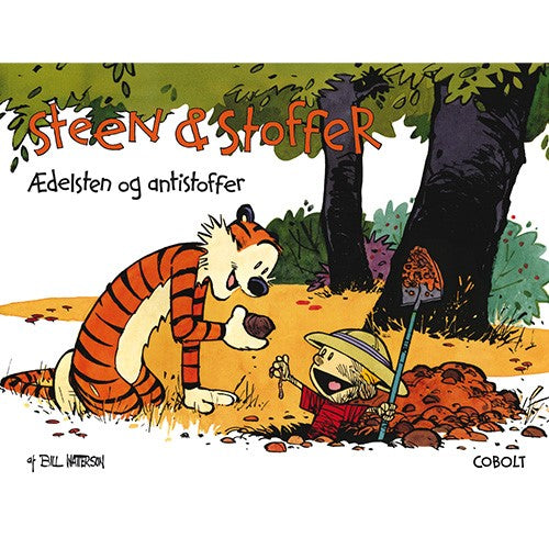 STEEN & STOFFER 10: ÆDELSTEN OG ANTISTOFFER