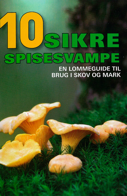 10 SIKRE SPISESVAMPE