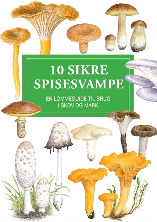 10 SIKRE SPISESVAMPE