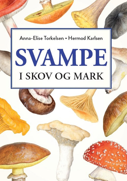 SVAMPE I SKOV OG MARK