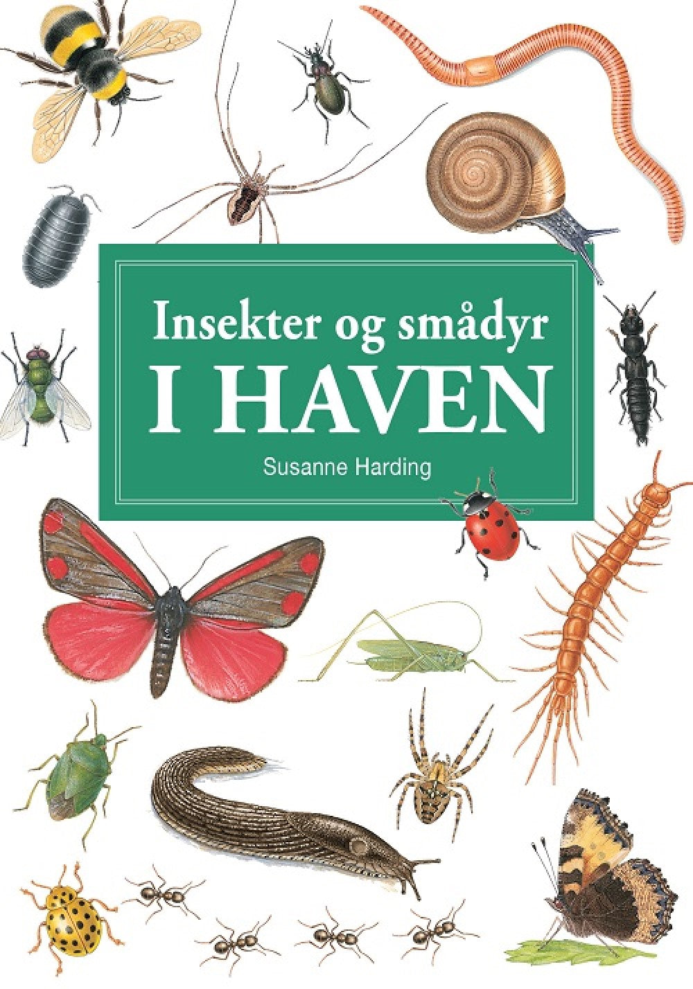 INSEKTER OG ANDRE SMÅDYR I HAVEN