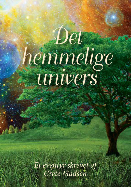 DET HEMMELIGE UNIVERS
