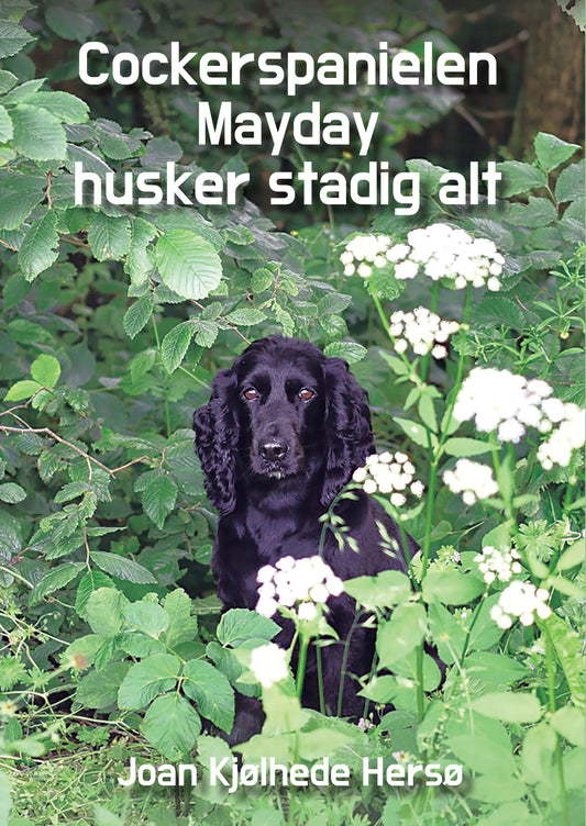 COCKERSPANIELEN MAYDAY HUSKER STADIG ALT