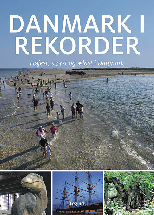 DANMARK I REKORDER