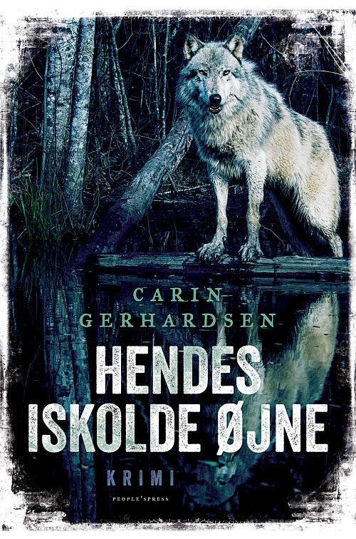 HENDES ISKOLDE ØJNE