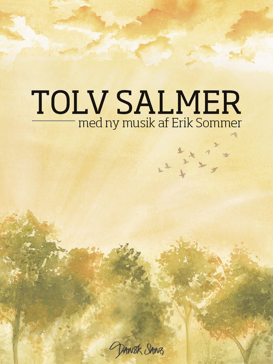 TOLV SALMER