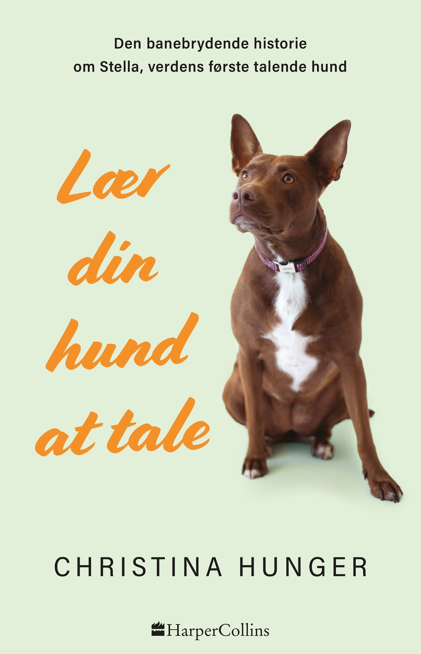LÆR DIN HUND AT TALE
