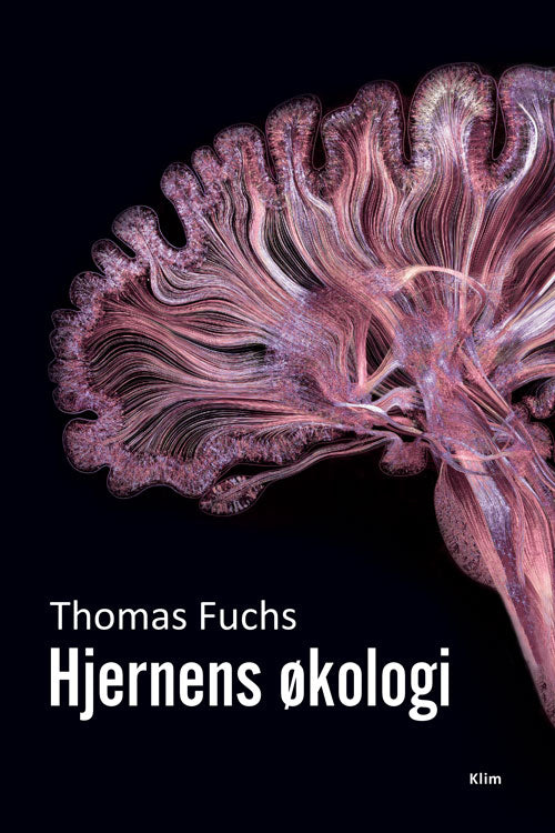 HJERNENS ØKOLOGI