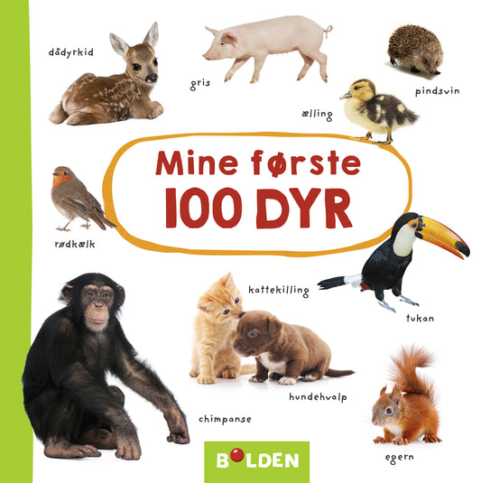 MINE FØRSTE 100 DYR PAPBOG