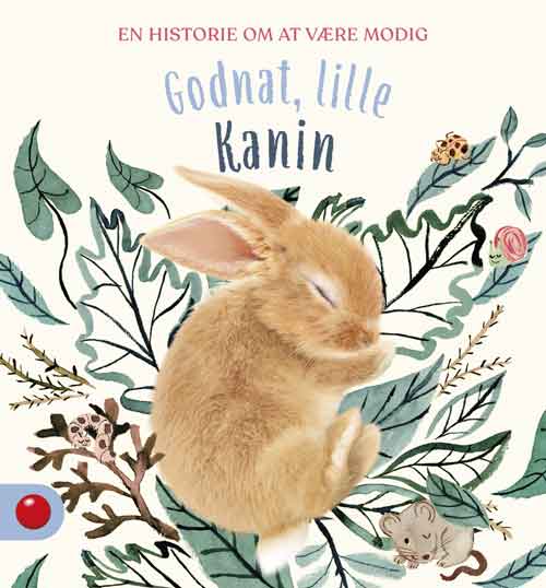 GODNAT, LILLE KANIN