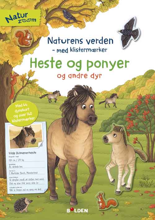 HESTE OG PONYER
