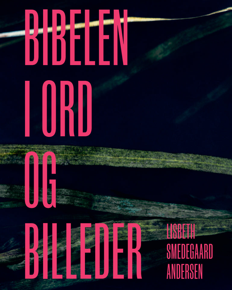 BIBELEN I ORD OG BILLEDER