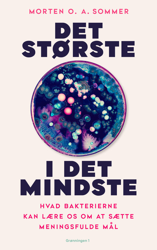 DET STØRSTE I DET MINDSTE