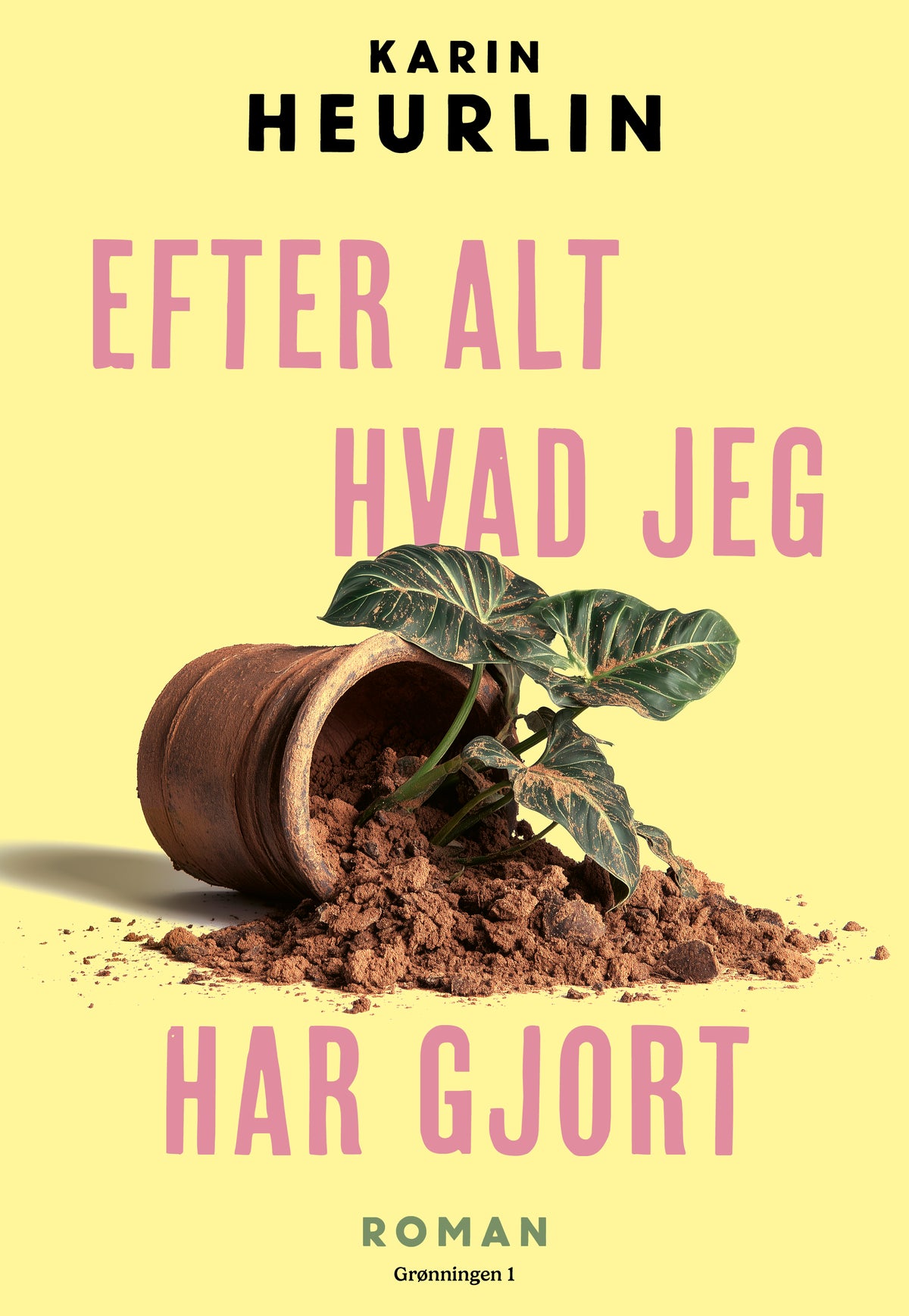 EFTER ALT HVAD JEG HAR GJORT