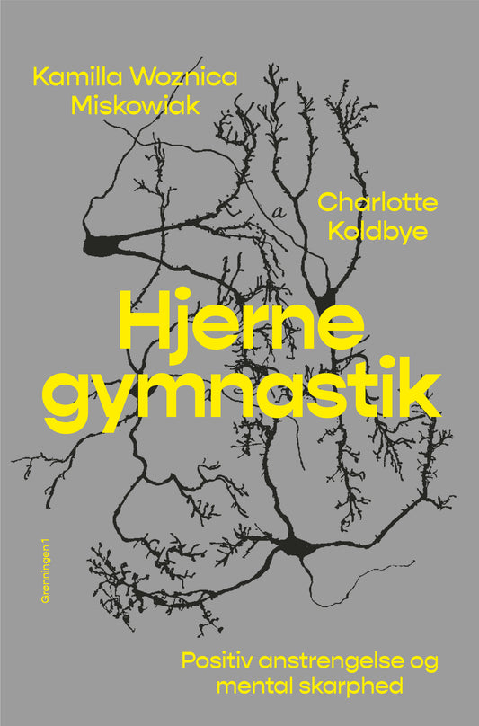 HJERNEGYMNASTIK