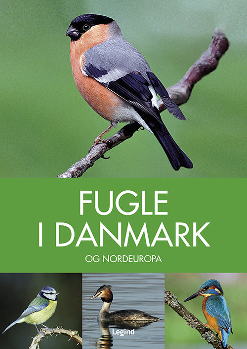 FUGLE I DANMARK OG NORDEUROPA