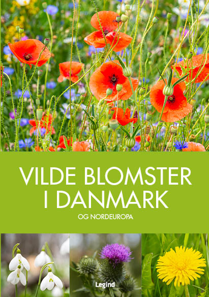 VILDE BLOMSTER I DANMARK