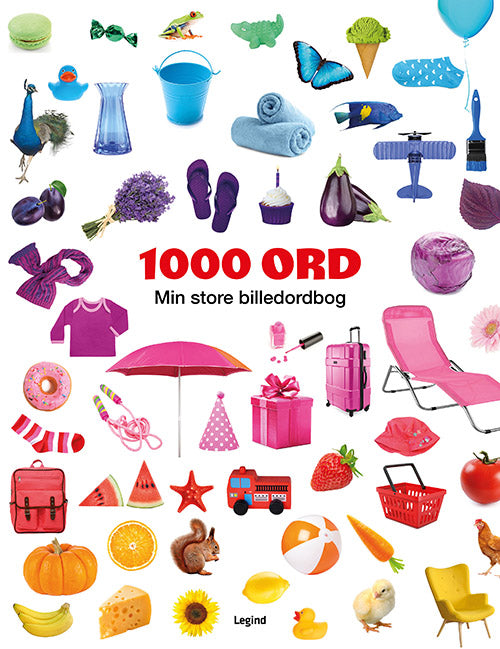 1000 ORD - MIN STORE BILLEDORDBOG