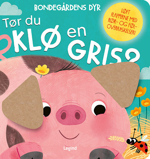 TØR DU KLØ EN GRIS?