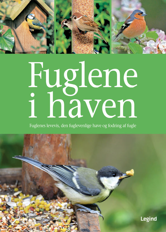 FUGLENE I HAVEN