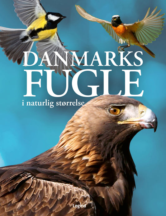DANMARKS FUGLE I NATURLIG STØRRELSE