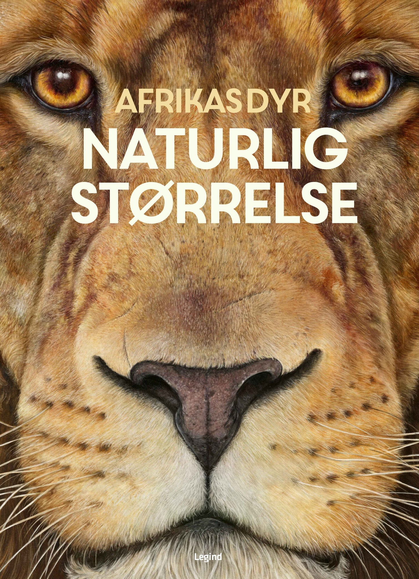 AFRIKAS DYR - I NATURLIG STØRRELSE