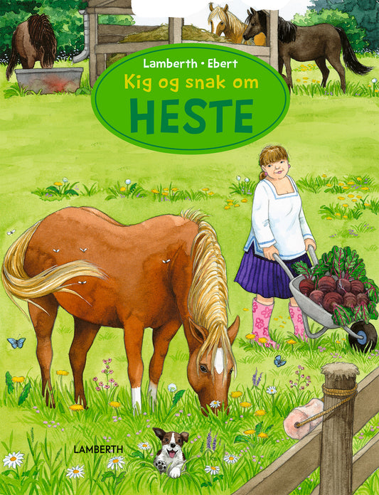 KIG OG SNAK OM HESTE