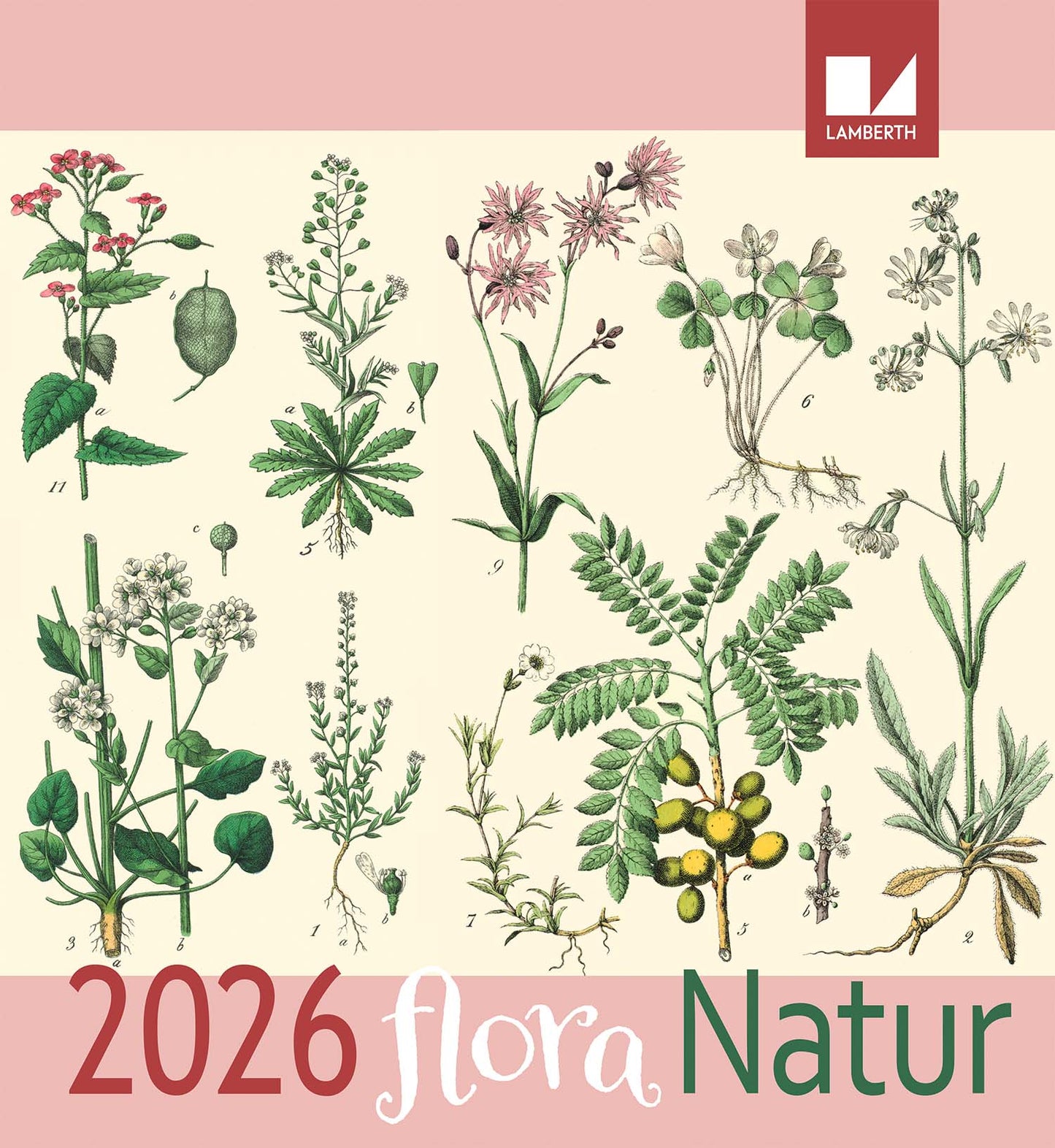 FLORA KALENDER 2026