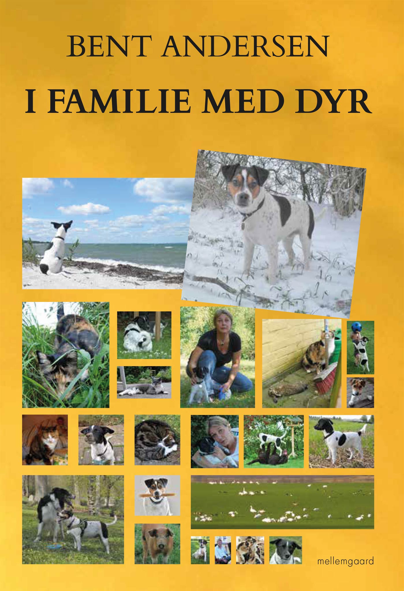 I FAMILIE MED DYR