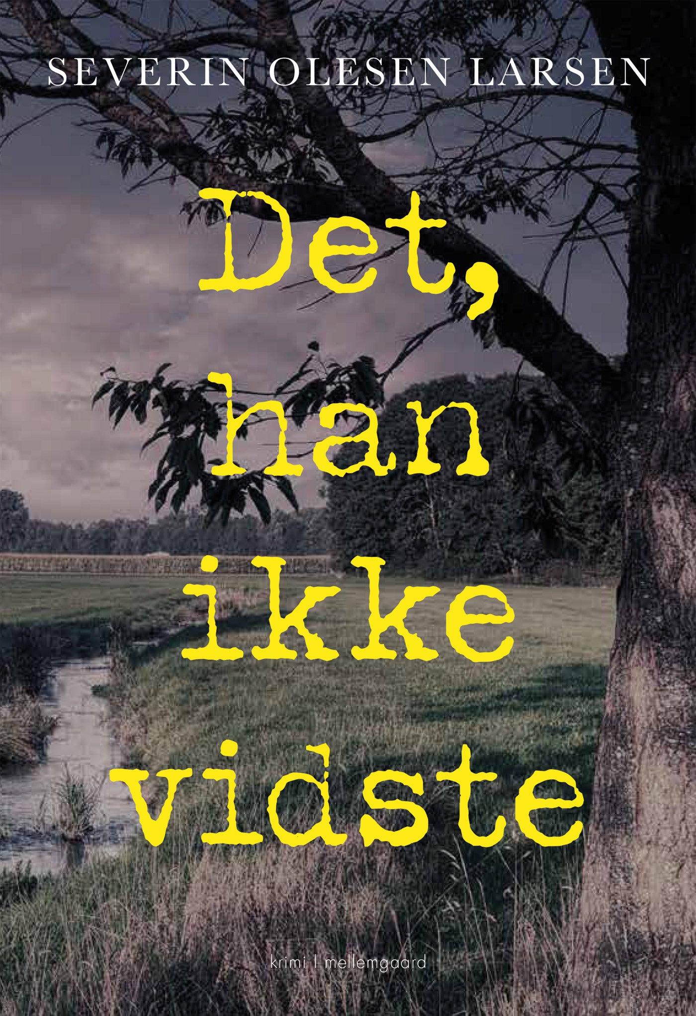 DET, HAN IKKE VIDSTE