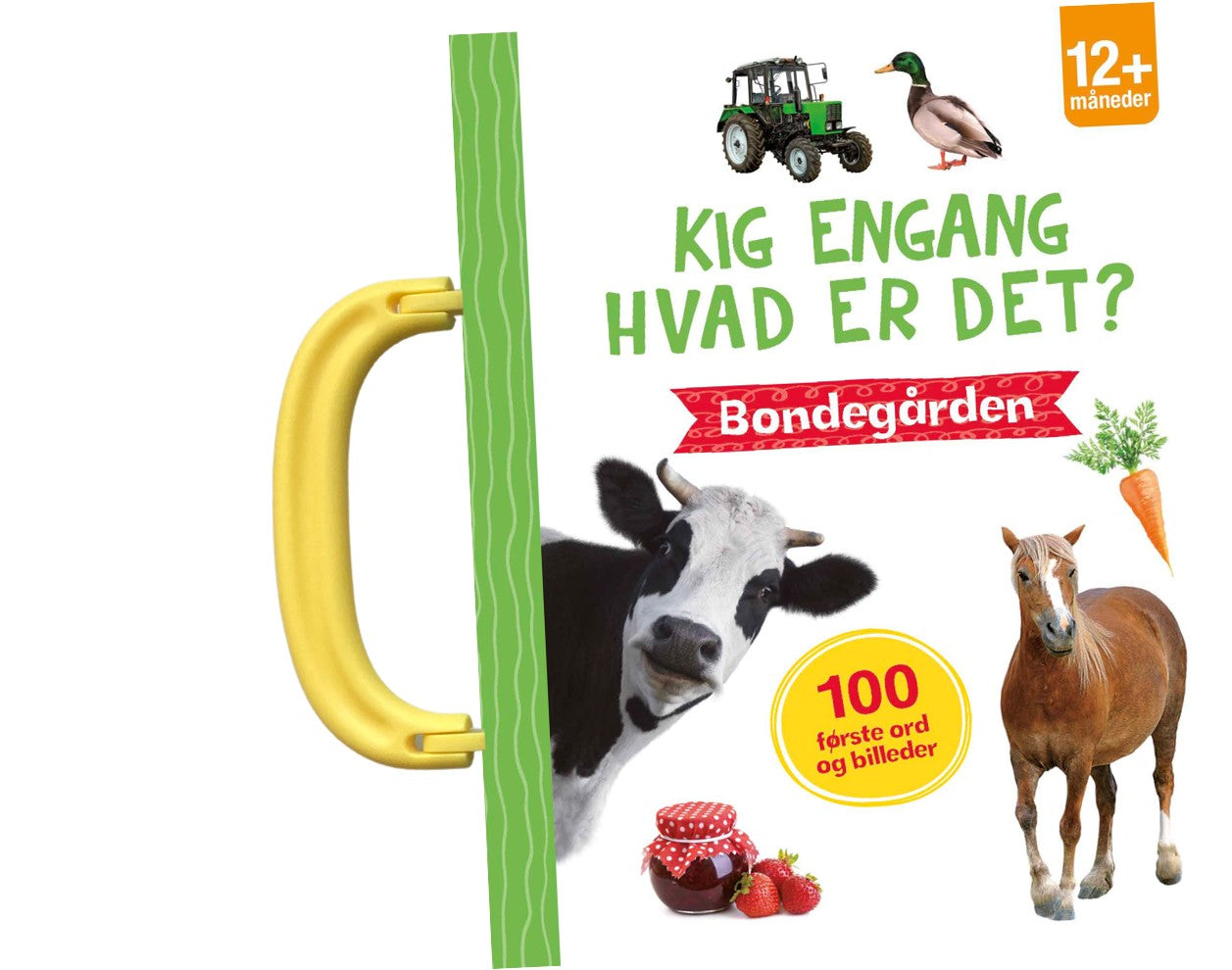 KIG ENGANG - HVAD ER DET? BONDEGÅRDEN