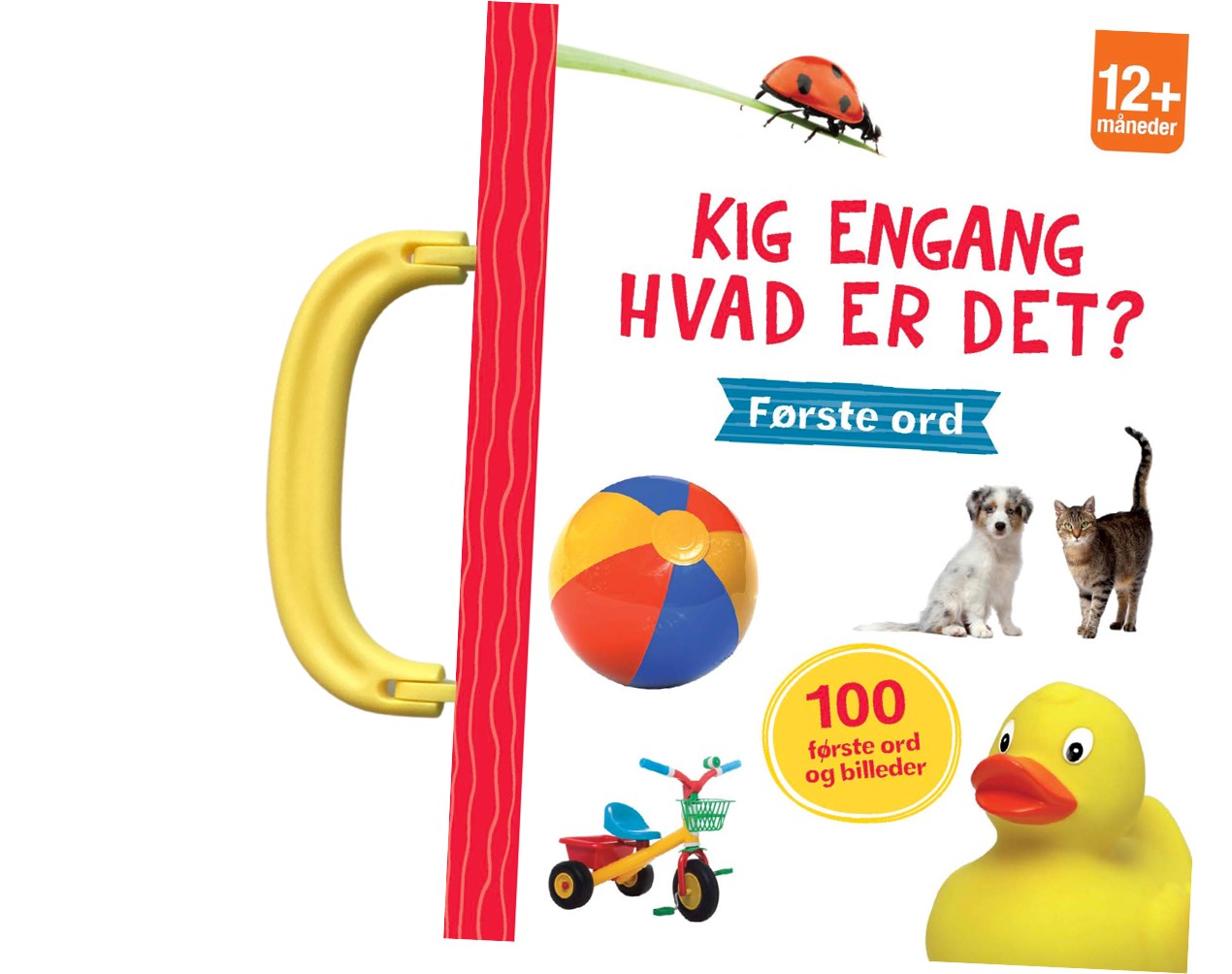 KIG ENGANG - HVAD ER DET?FØRSTE ORD