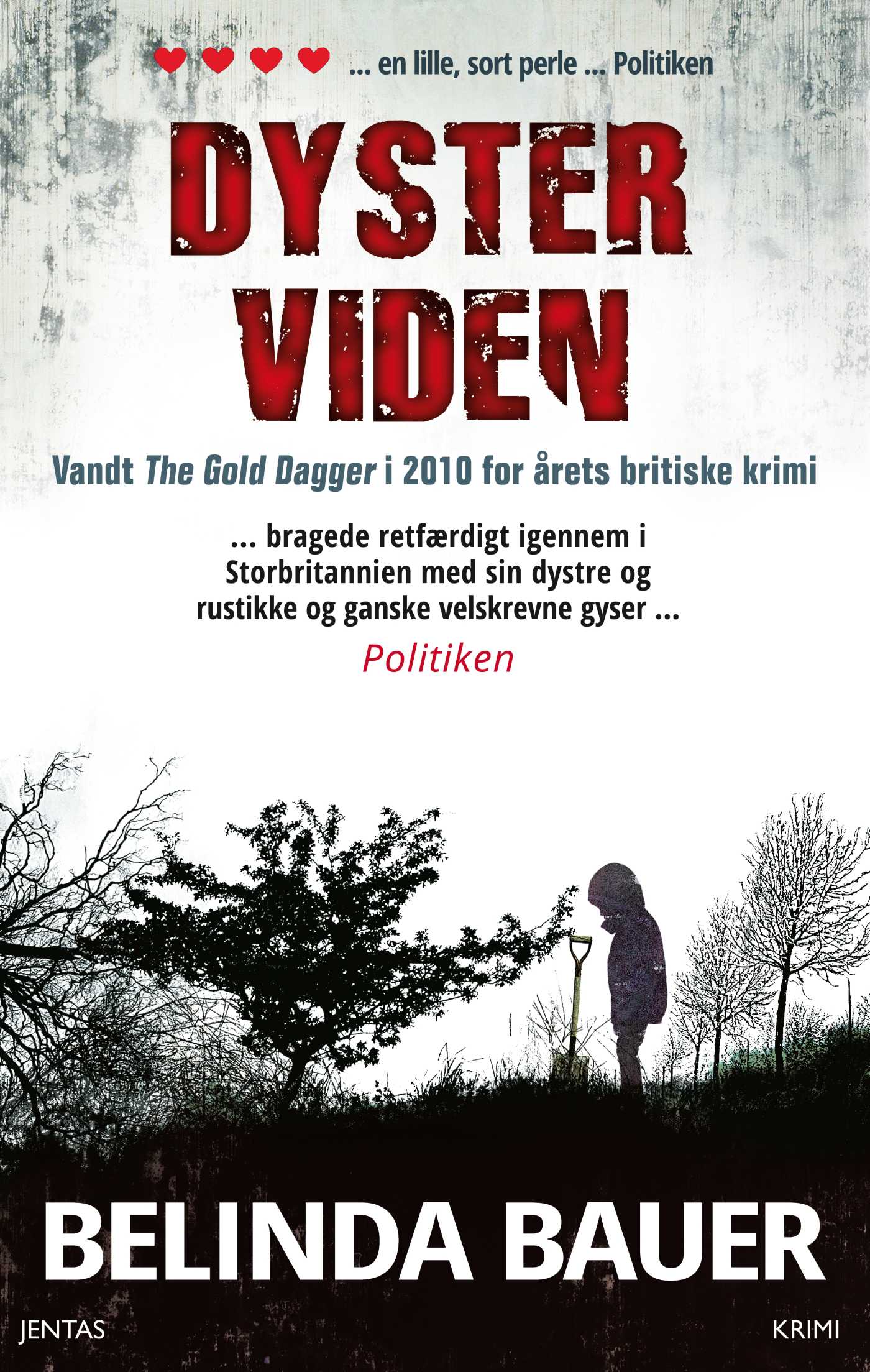 DYSTER VIDEN
