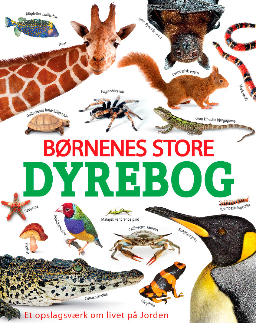 BØRNENES STORE DYREBOG