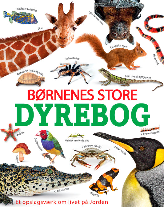 BØRNENES STORE DYREBOG