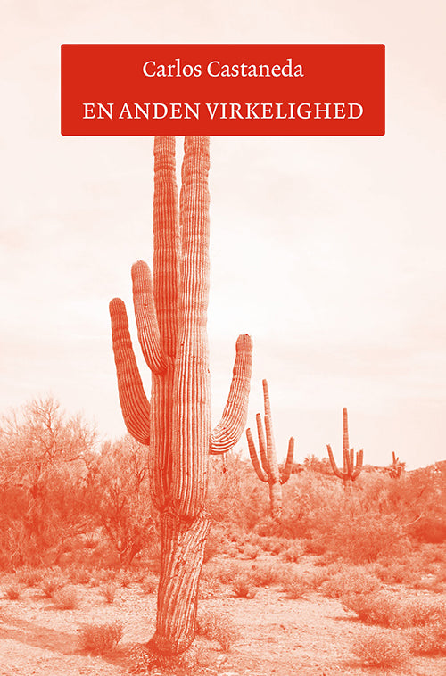 EN ANDEN VIRKELIGHED