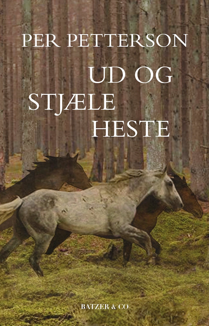 UD OG STJÆLE HESTE