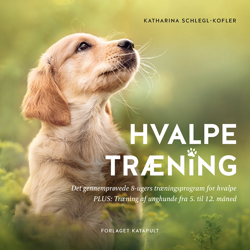 HVALPETRÆNING