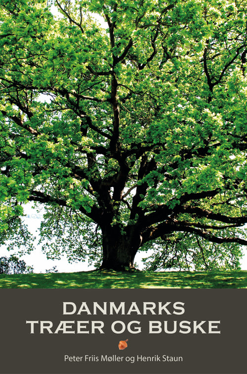 DANMARKS TRÆER OG BUSKE