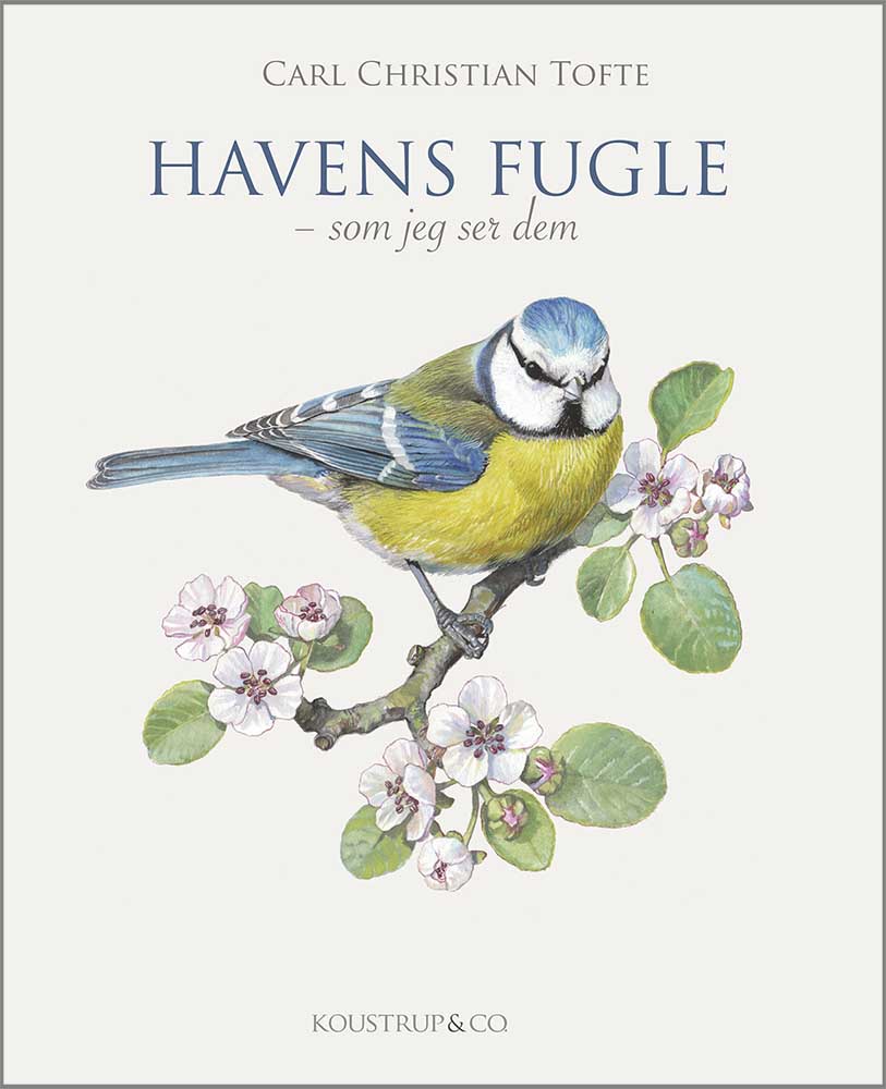 HAVENS FUGLE - SOM JEG SER DEM