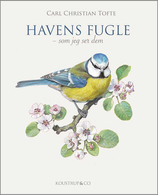 HAVENS FUGLE - SOM JEG SER DEM