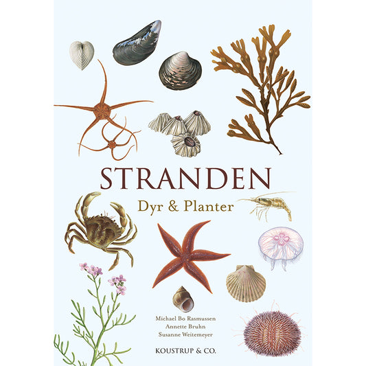 STRANDEN