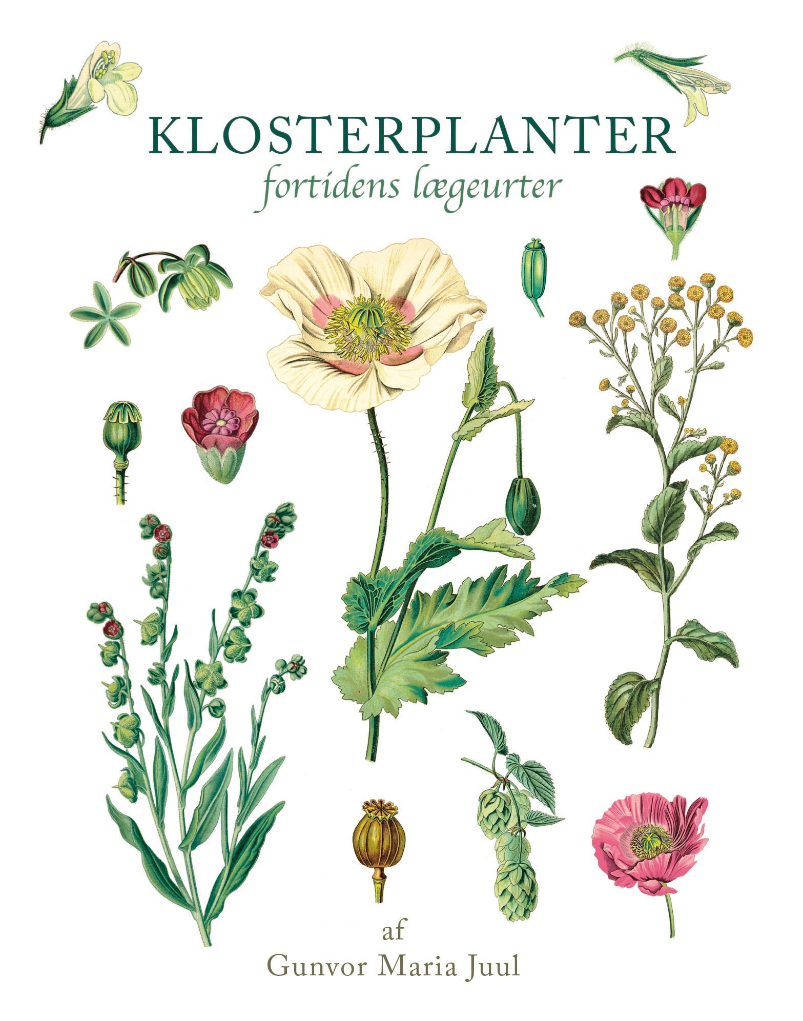 KLOSTERPLANTER