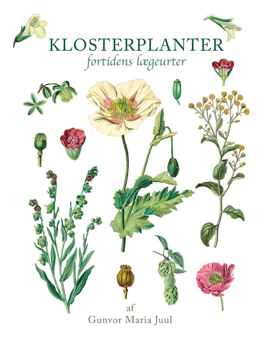 KLOSTERPLANTER